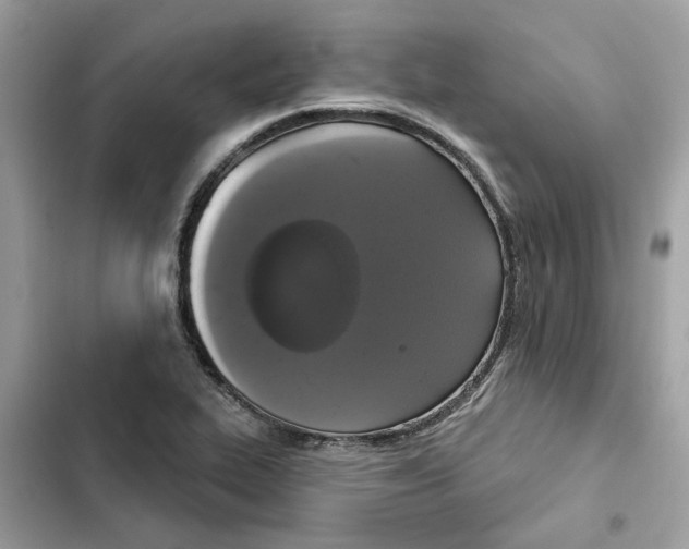 X0000101971319200808151329