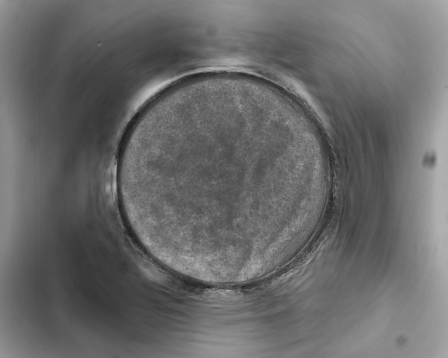 X0000101971320200808151329