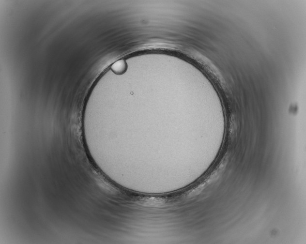 X0000101971321200808151329