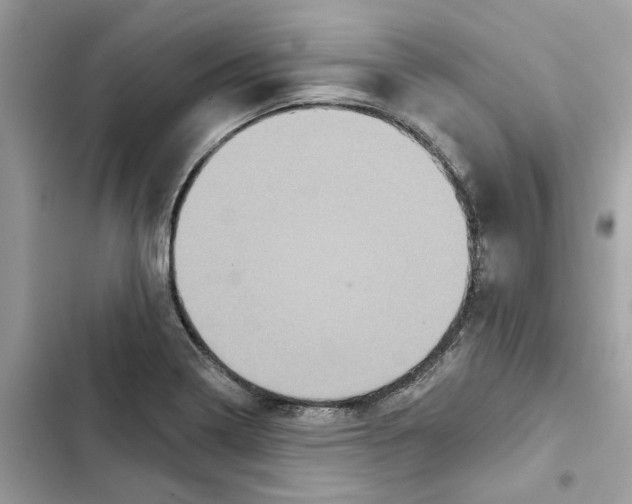 X0000101971322200808151329