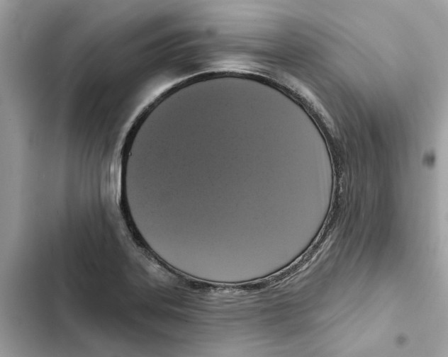 X0000101971323200808151329