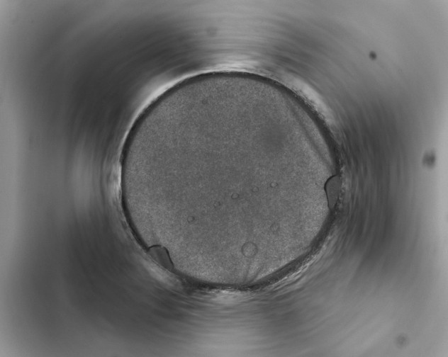 X0000101971324200808151329