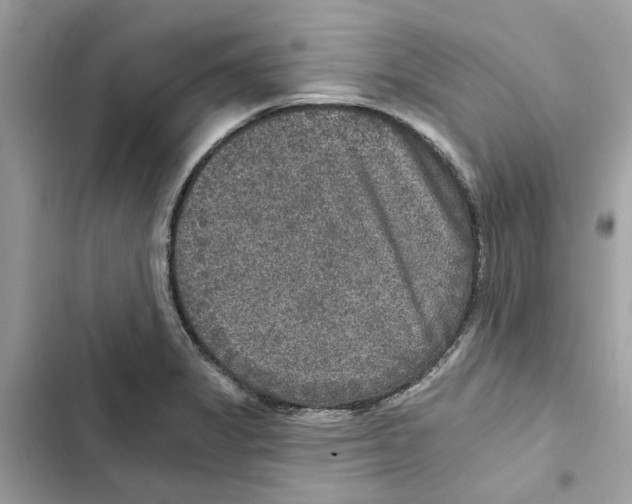 X0000101971325200808151329