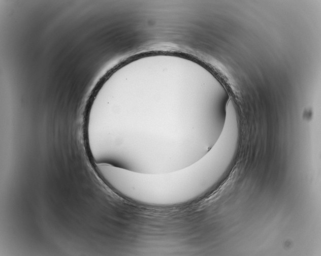 X0000101971326200808151329