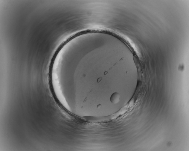 X0000101971327200808151329