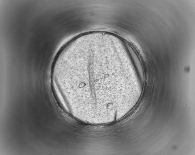 X0000101971328200808151329