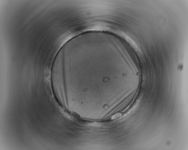 X0000101971329200808151329