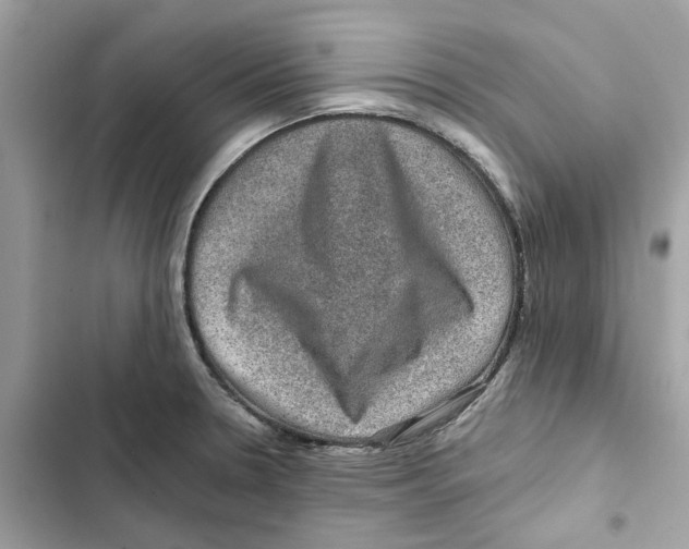 X0000101971330200808151329