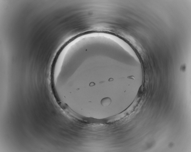 X0000101971331200808151329