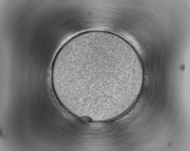 X0000101971332200808151329