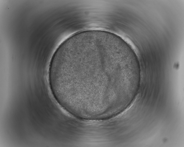 X0000101971333200808151329