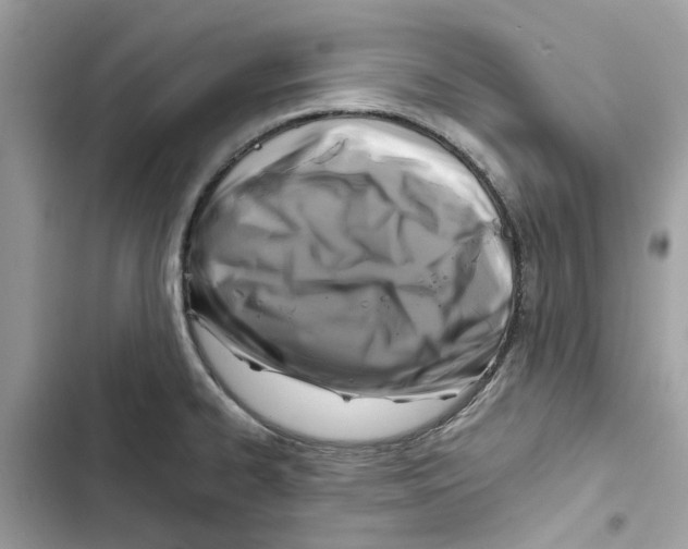 X0000101971334200808151329
