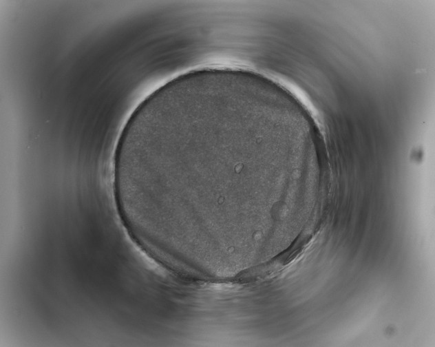 X0000101971335200808151329