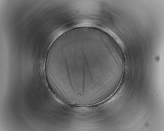 X0000101971337200808151329