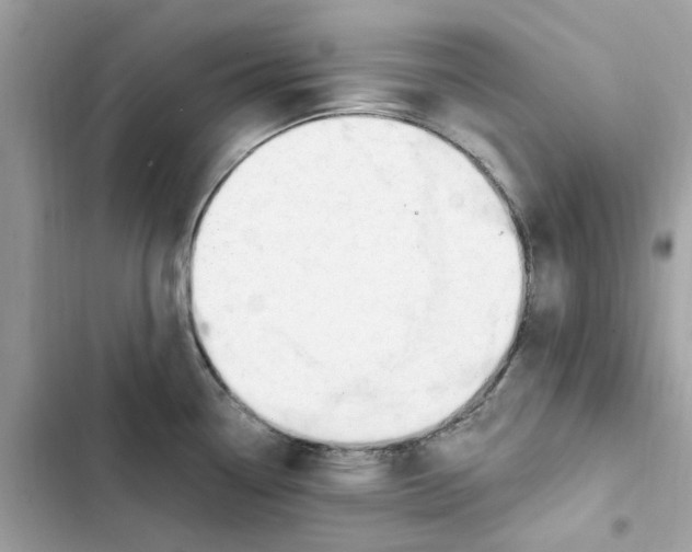 X0000101971338200808151329