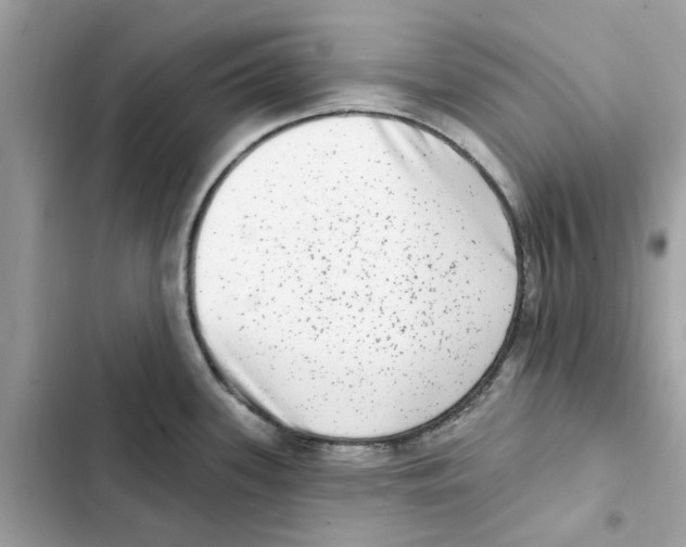 X0000101971339200808151329