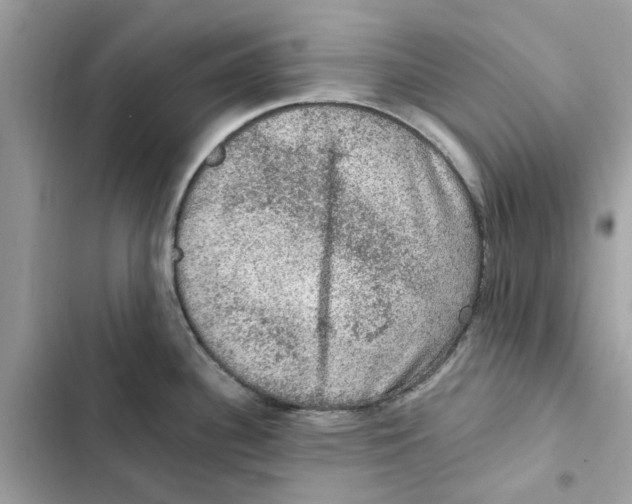 X0000101971340200808151329