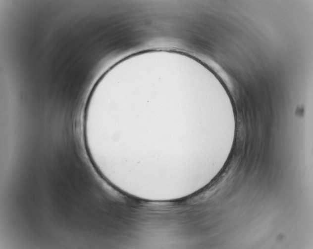 X0000101971343200808151329