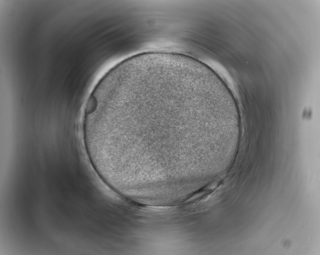 X0000101971344200808151329
