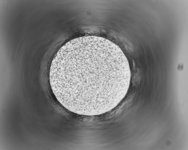 X0000101971345200808151328