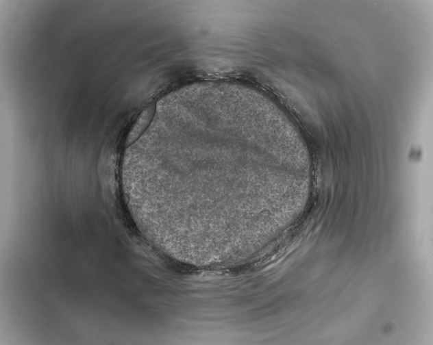 X0000101971346200808151328