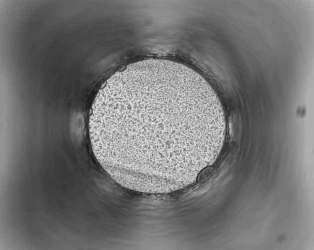 X0000101971347200808151328