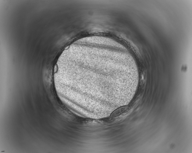 X0000101971348200808151328