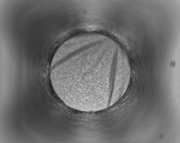 X0000101971349200808151328
