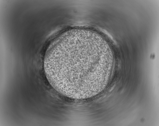X0000101971350200808151328
