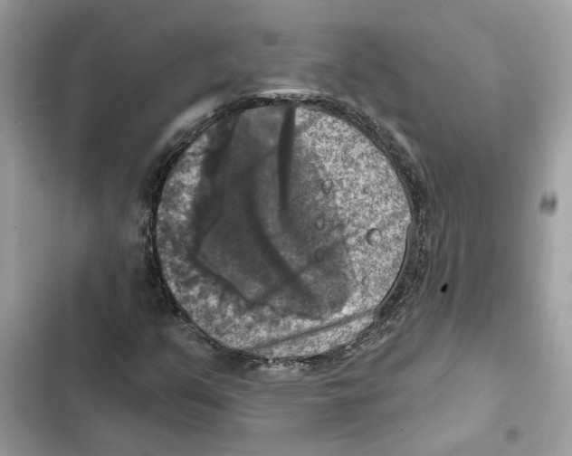 X0000101971351200808151328