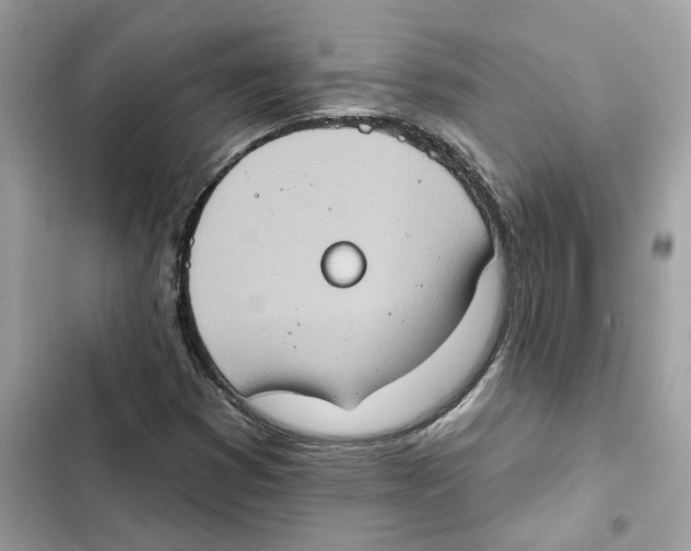 X0000101971353200808151328