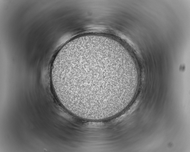 X0000101971354200808151328