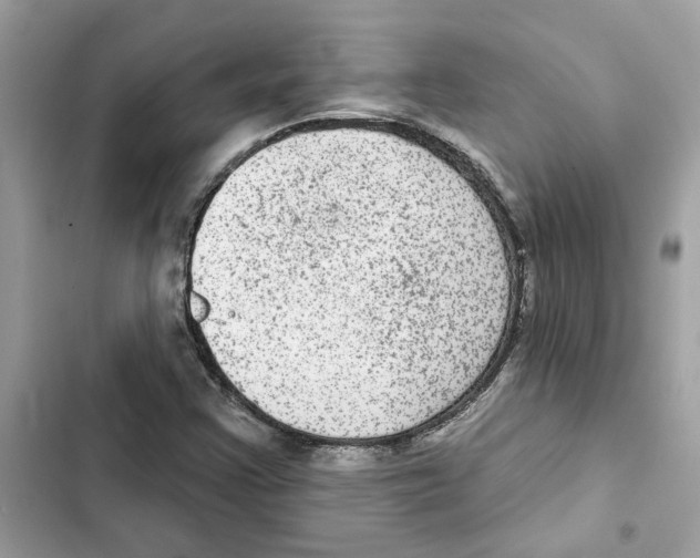 X0000101971355200808151328