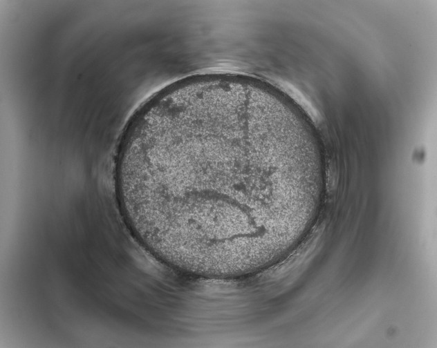 X0000101971356200808151328
