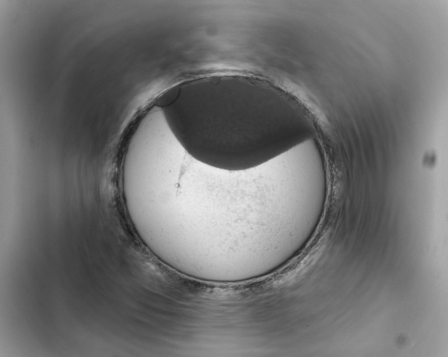 X0000101971357200808151328