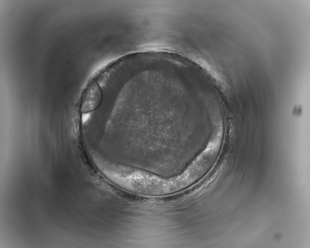 X0000101971358200808151328