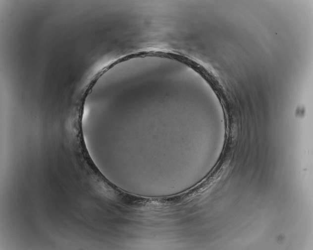X0000101971359200808151328