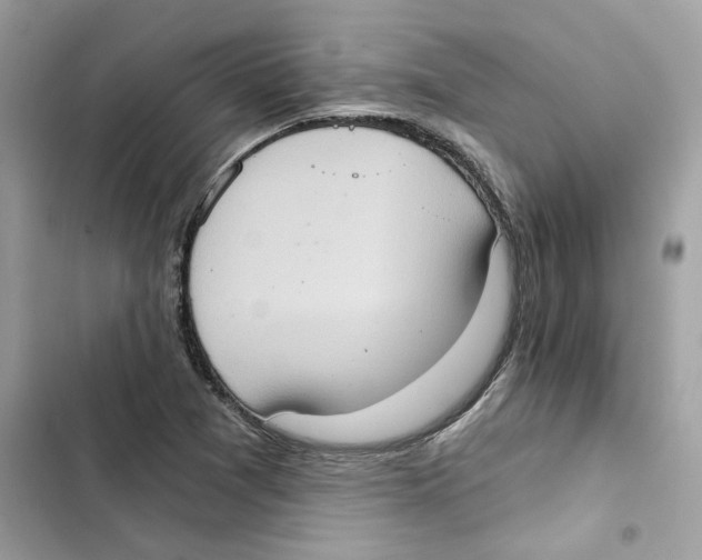 X0000101971361200808151328