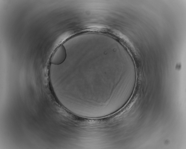 X0000101971362200808151328