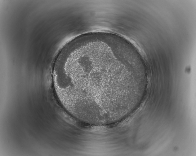 X0000101971363200808151328