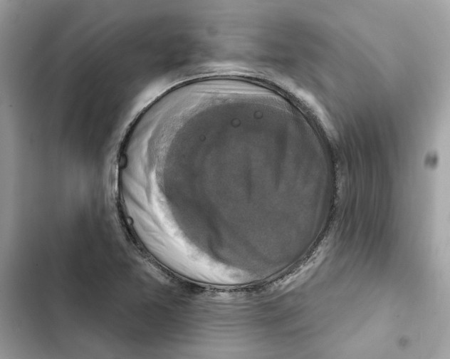X0000101971365200808151328