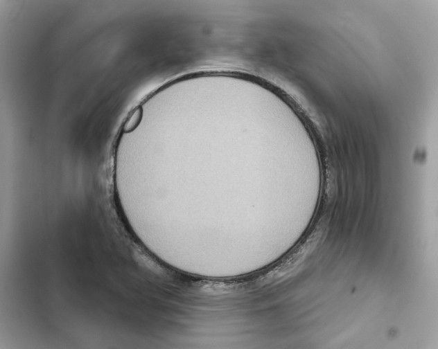 X0000101971366200808151328