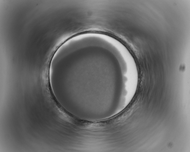 X0000101971367200808151328