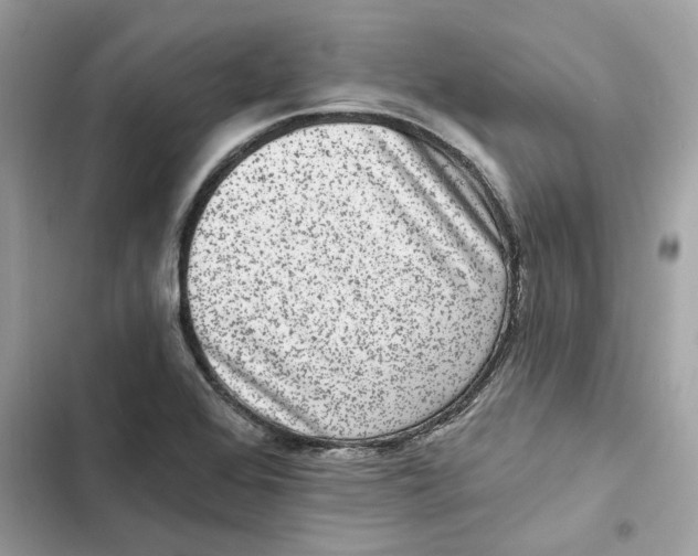 X0000101971368200808151328