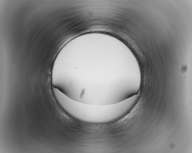 X0000101971369200808151328