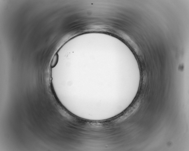 X0000101971370200808151328