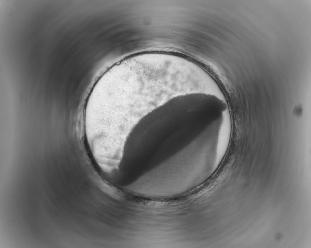 X0000101971371200808151328