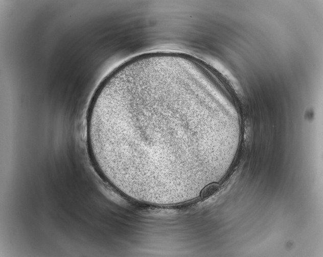 X0000101971372200808151328