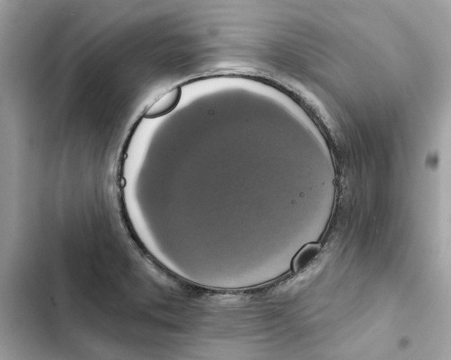 X0000101971373200808151328