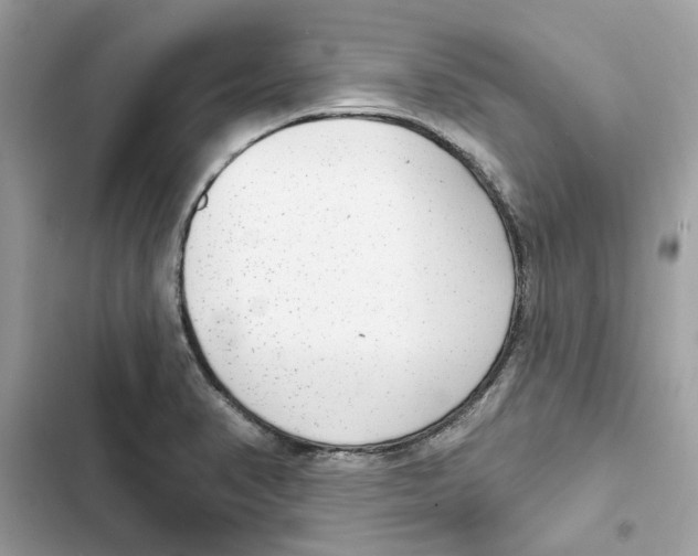 X0000101971374200808151328